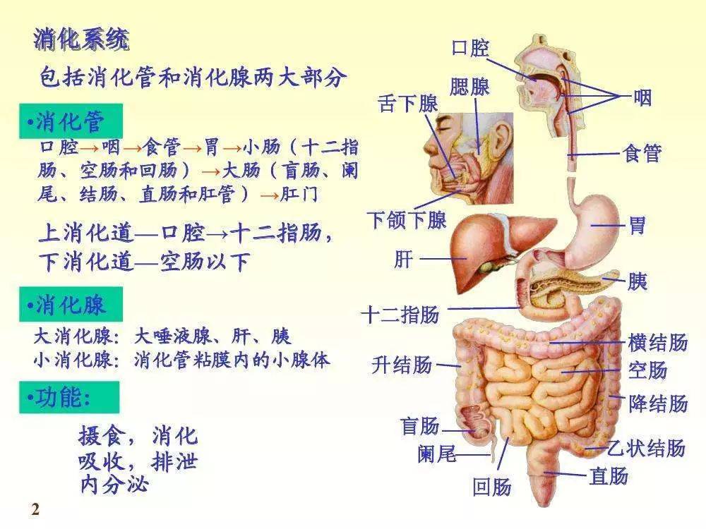 深度长文一什么是产品架构