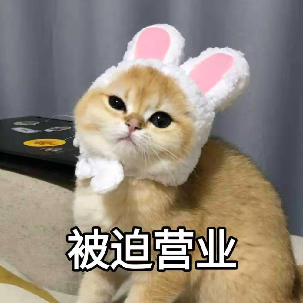 哈喽,你的早鸟播报员小可爱来啦