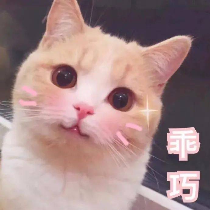 哈喽,你的早鸟播报员小可爱来啦