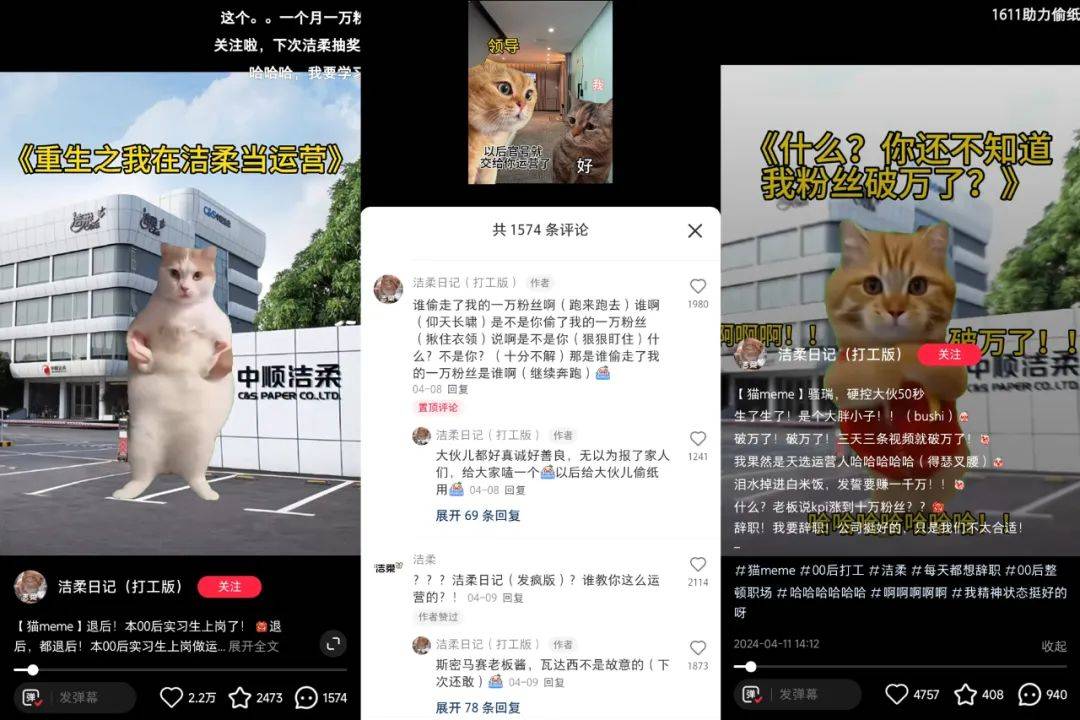 在小红书2天涨粉2万，“猫meme”成流量密码？