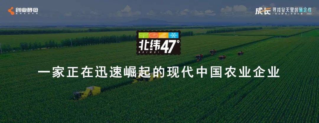 孟长安:穿越迷雾,稳健前行