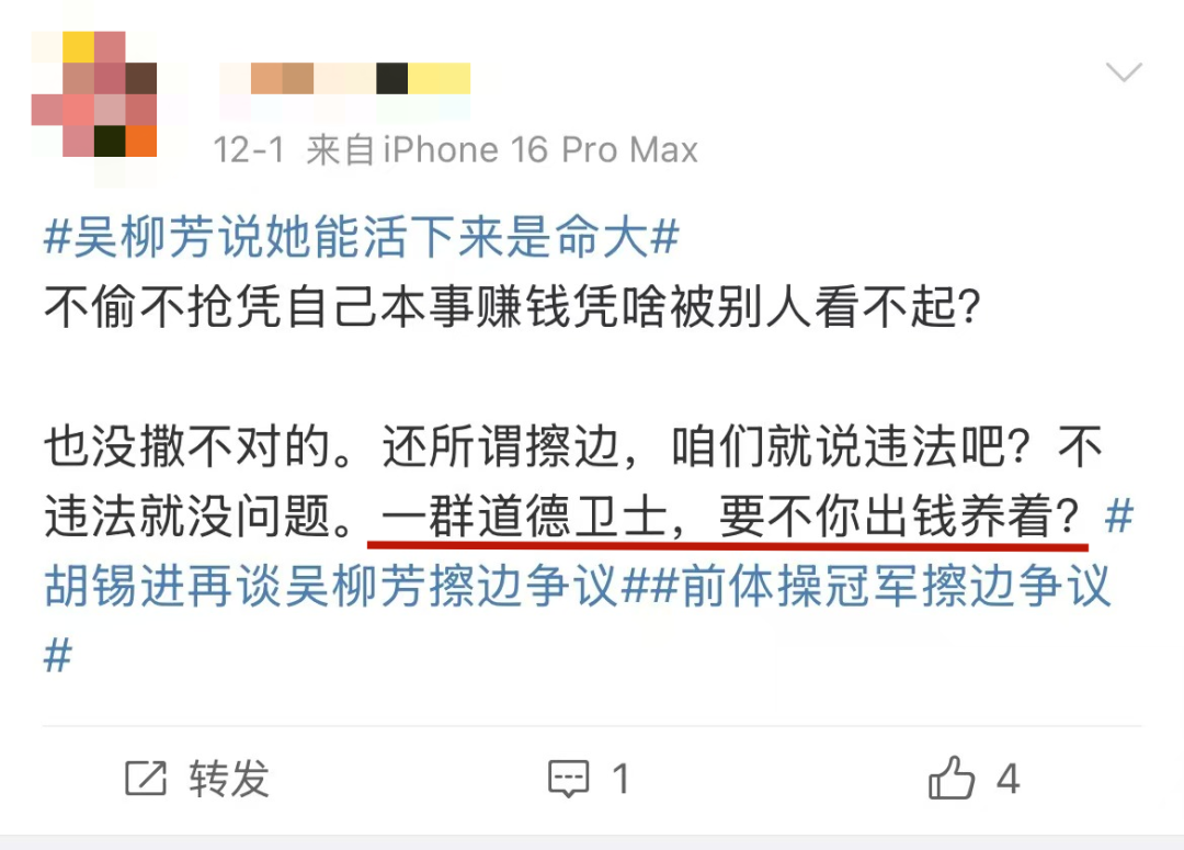 网友们给吴柳芳单开了一套道德标准