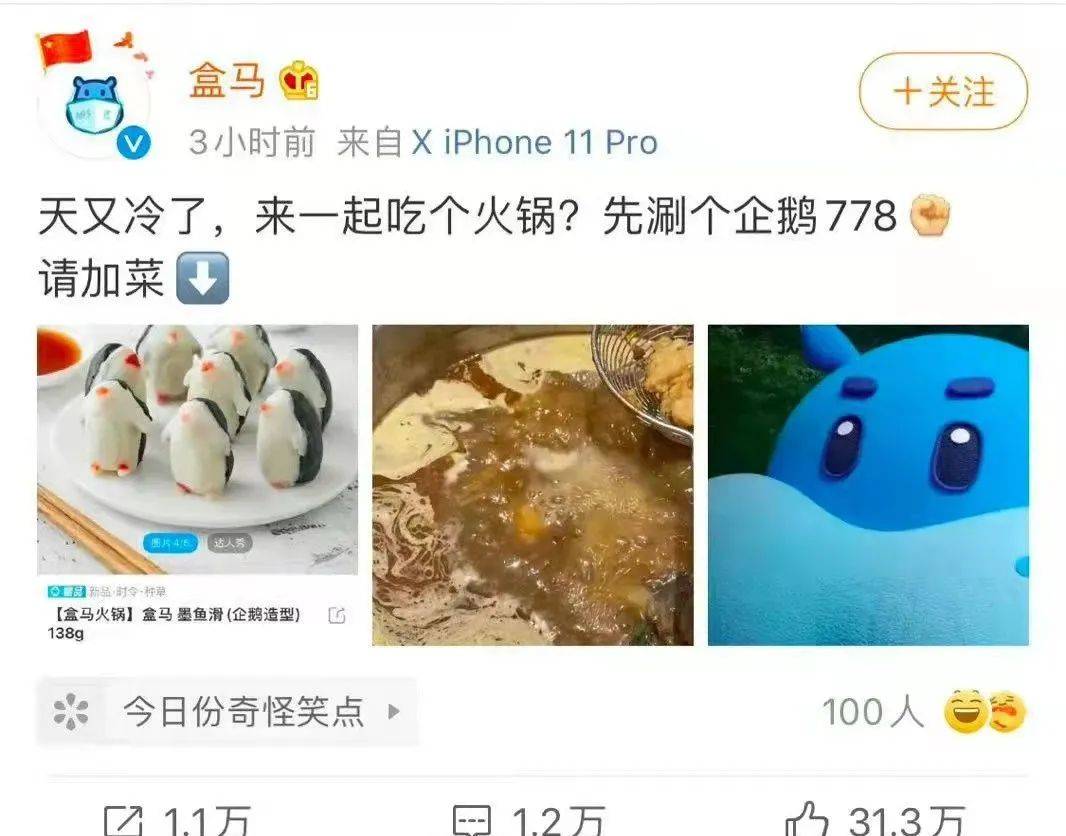 鸟哥笔记,新媒体,TopMarketing,品牌投放,新媒体营销,案例分析