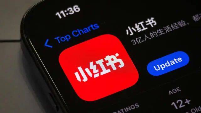 大限将至！TikTok“难民”涌入小红书