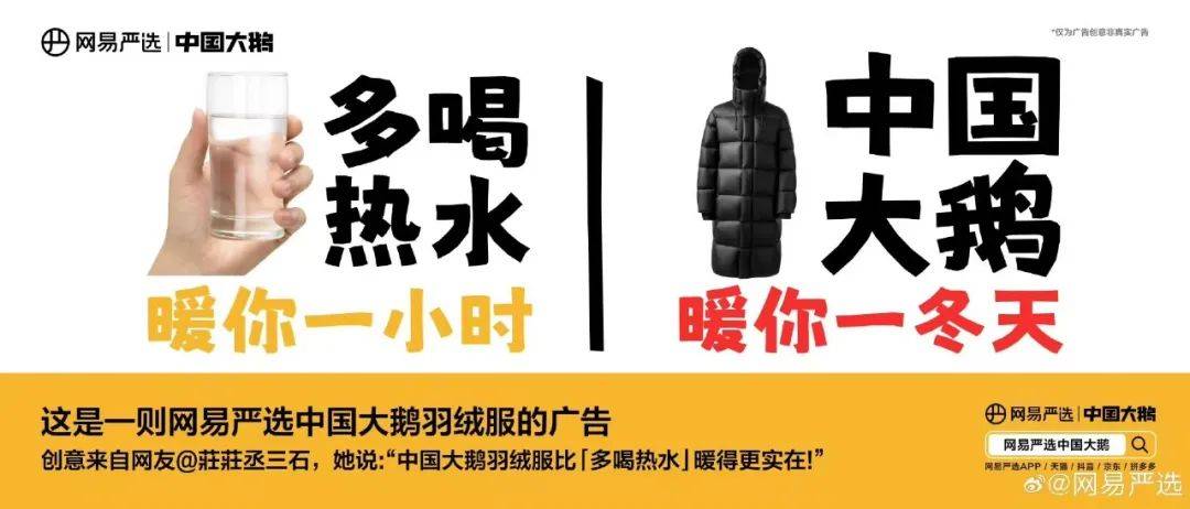 “中国大鹅”火了！双11最强带货王，竟然是网友？