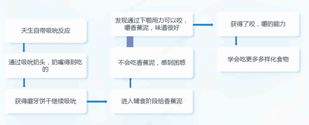 揭秘儿童是如何学习知识的？皮亚杰儿童认知发展与建构主义