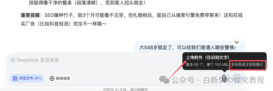 DeepSeek為什么爆火以及我們搞SEO流量要用它？