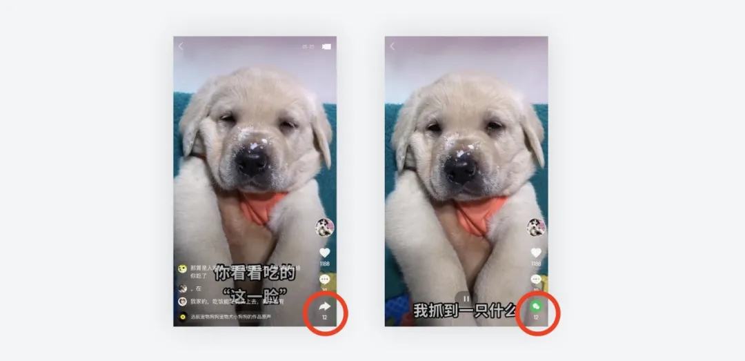 码人网mrw.so缩短网址文章图片
