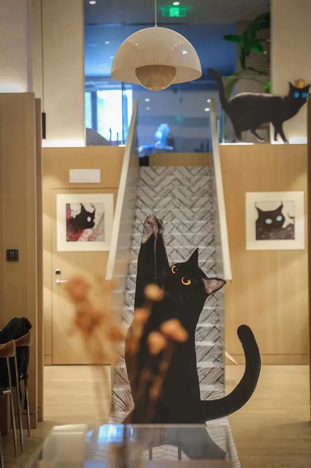 深度｜热门NFT黑猫Mimic Shhans带来的启示