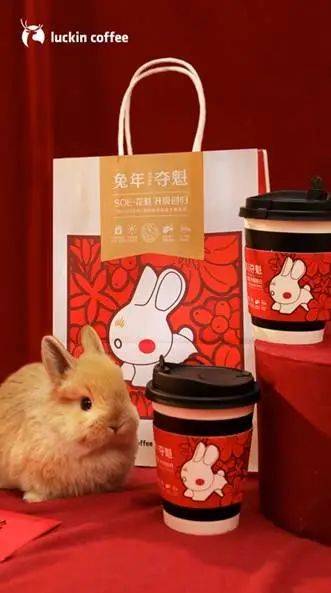 CNY，品牌“兔”出重围