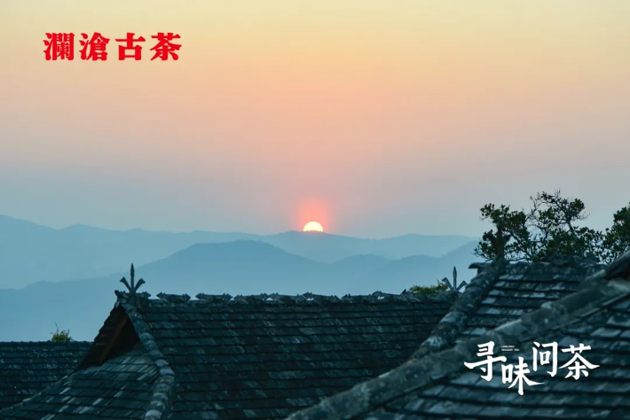 资本这个壶里，3000亿中国茶泡出了什么味？