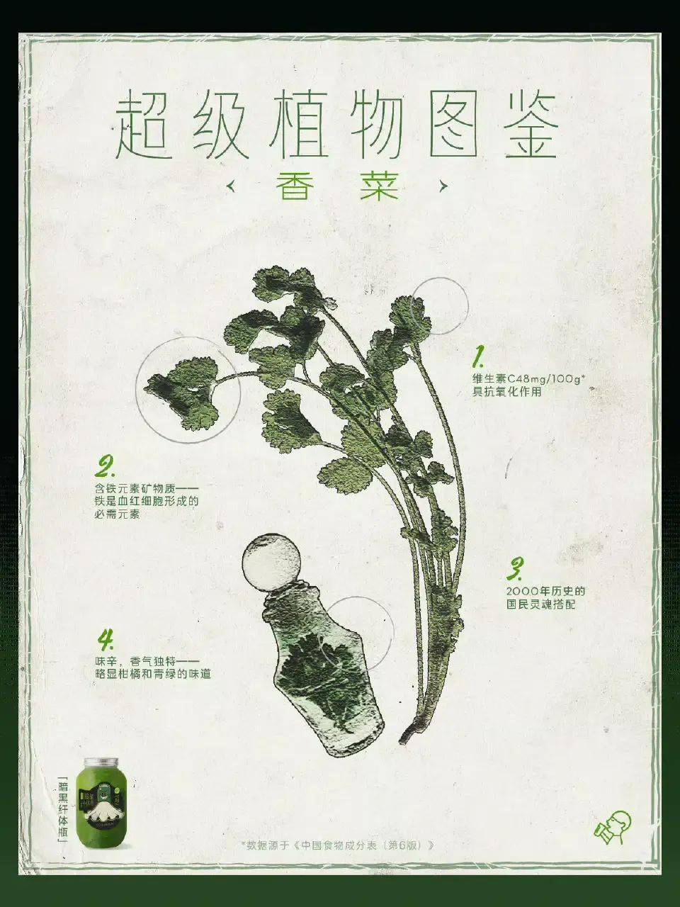 卷不动的人生，让植物来拯救