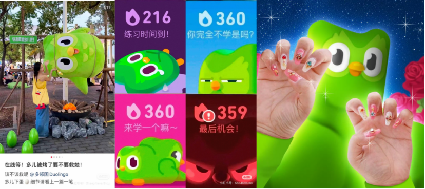 从“猫meme”到“绿色鸟子”，真正的“万物皆可IP”？ | 雷报