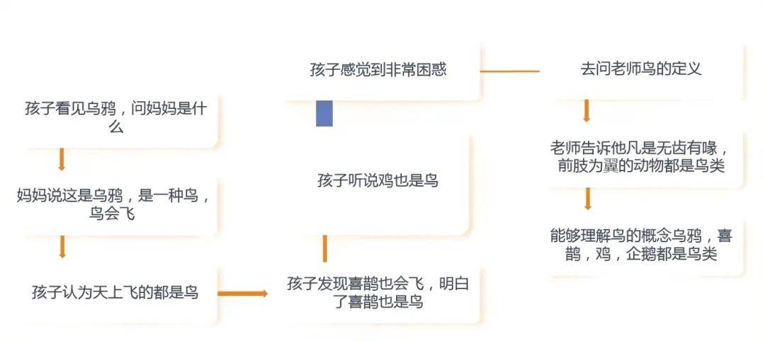 揭秘儿童是如何学习知识的？皮亚杰儿童认知发展与建构主义