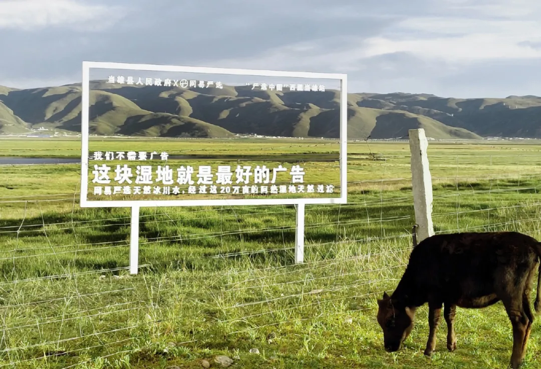 网易严选“中国大鹅”听劝海报，文案太有梗了