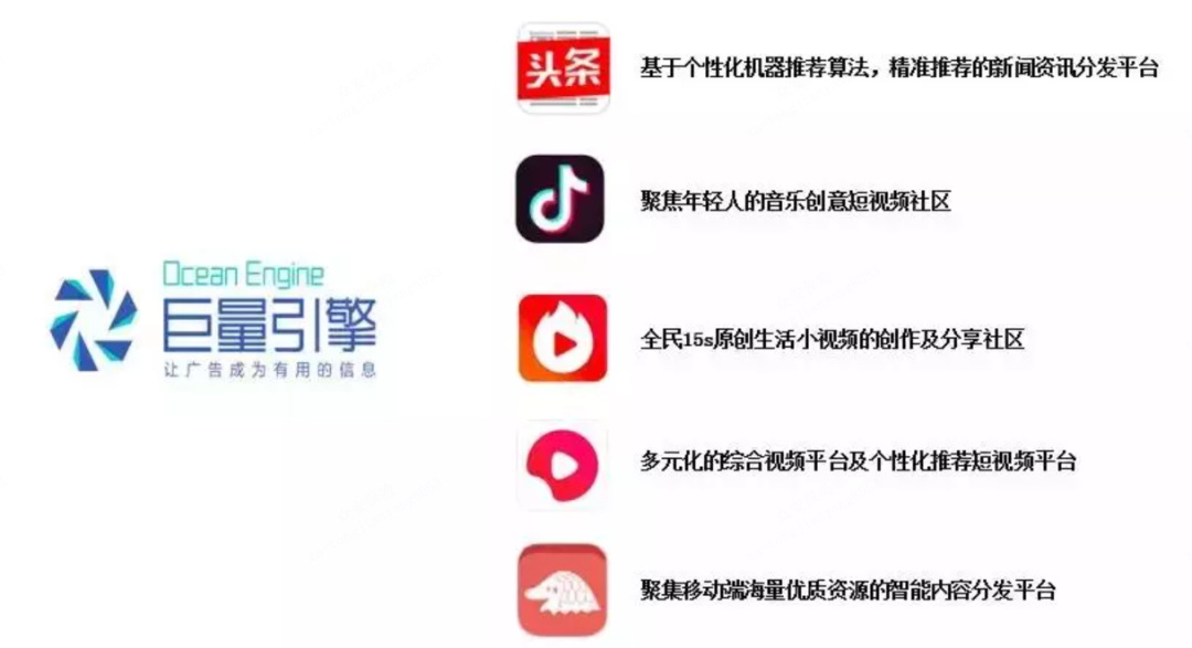 鸟哥笔记,推广策略,九枝兰,OCPC,头条,投放策略,精准投放