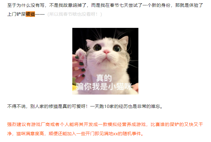 《猫咪后院》出续作啦！还记得这些可爱的哈基米吗？