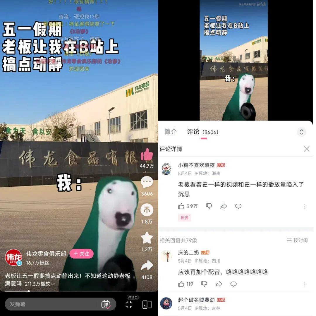 在小红书2天涨粉2万，“猫meme”成流量密码？