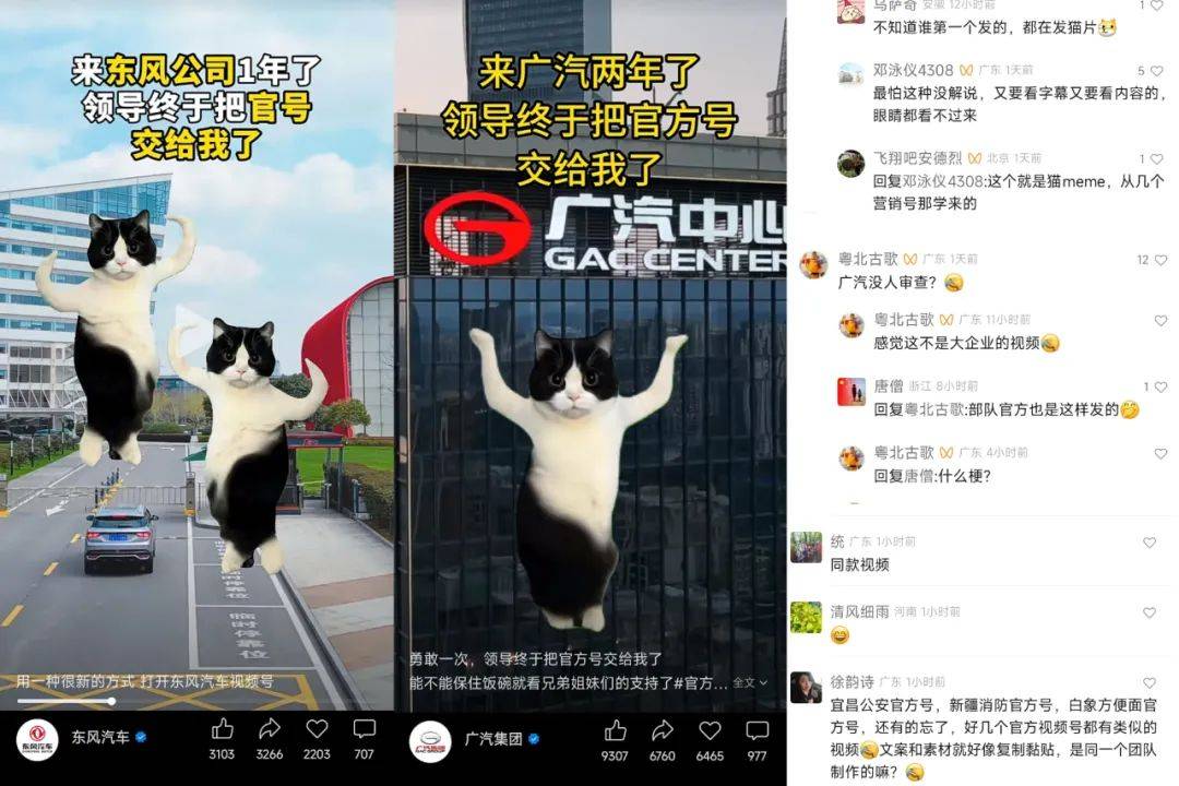 在小红书2天涨粉2万，猫meme成流量密码？