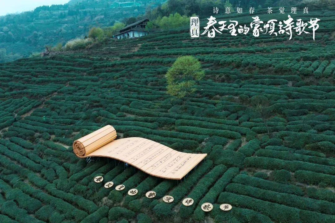 逆勢崛起的理真蒙頂山茶，憑何成為“中國高端文化名茶”？