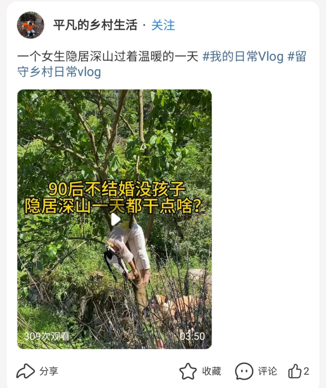 不愿回流上班，离职博主们不断寻找新的栖息地