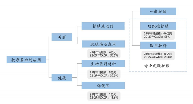 下一个爱美客的机会，甚至空间更大，处于更早期阶段