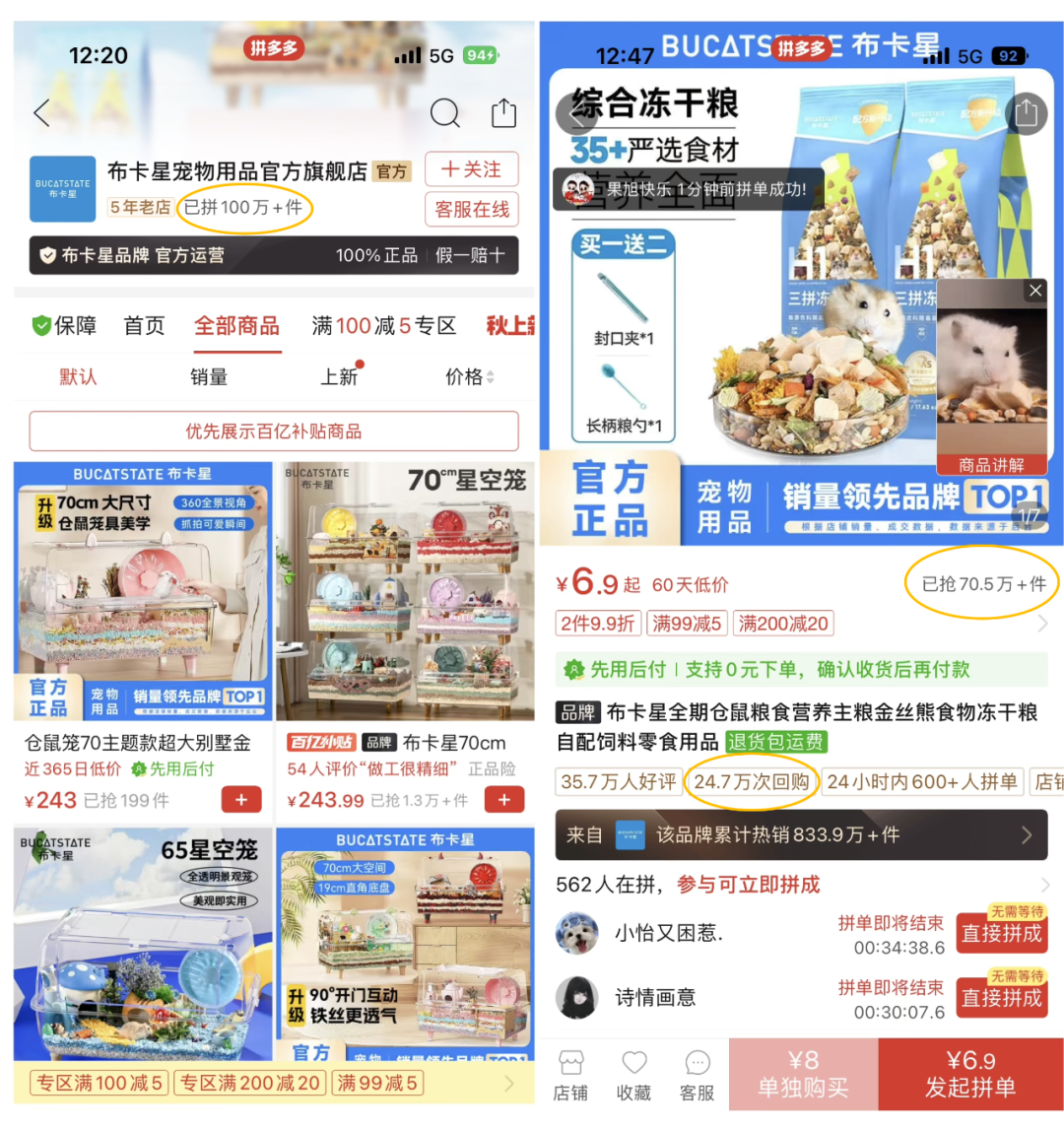 宠物界“泡泡玛特”，爆卖800万件+、复购率60%，凭啥？