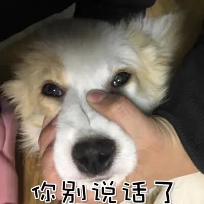 给任天堂豪掷50万，只为了在股东大会上开喷