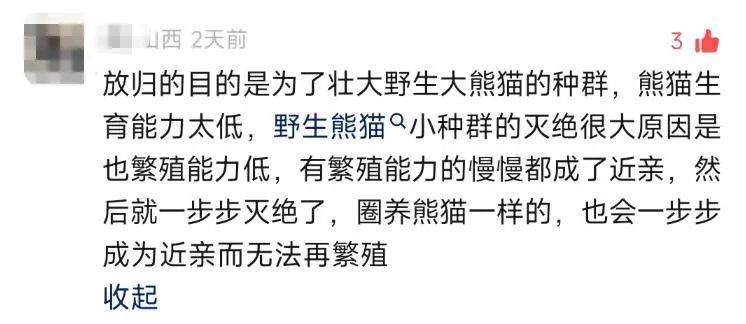 大熊猫保护日，淘宝拍了一支让人爱心爆棚的皮影戏