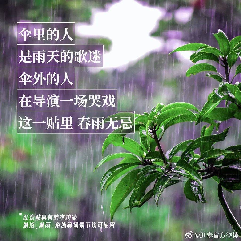 191269980606e6027c447c9.98170280.jpeg