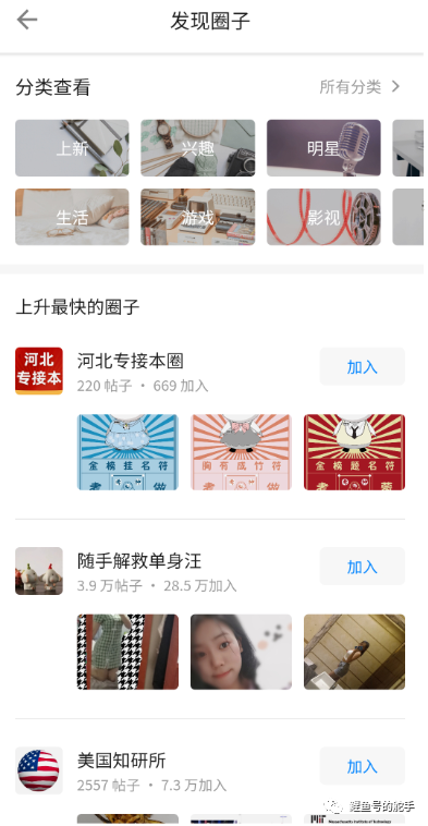 鸟哥笔记,行业动态,鲤鱼号的舵手,互联网,行业动态 鸟哥笔记,行业动态,鲤鱼号的舵手,互联网,行业动态