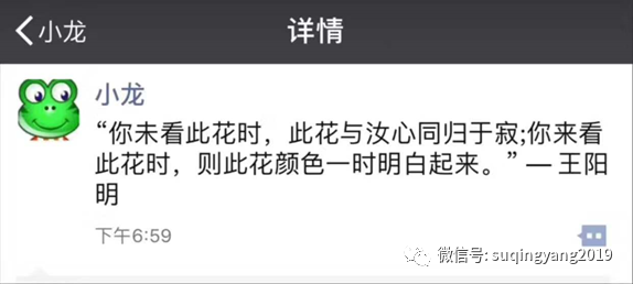 鸟哥笔记,短视频,苏青阳,微信生态,视频号,视频号