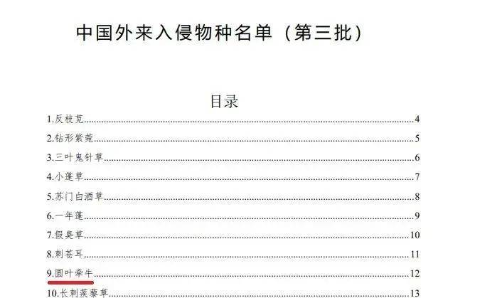 百雀羚「违规」冲上热搜，口碑没塌反而销量大增