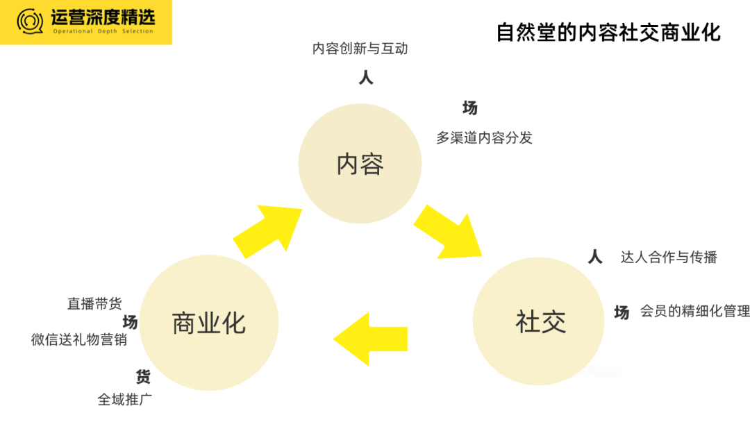 2024品牌全域经营年度十大案例（下）