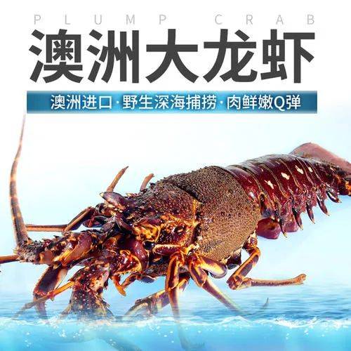 电服牛选：电商资讯，电商培训、电商运营,,广告营销,怪兽先森,品牌价值,技巧,运营规划