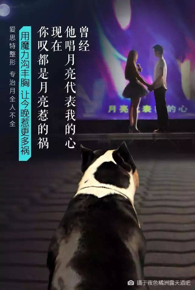这些整形文案真大胆,第一套就毁了经典 2058177584604867a8bfe5f7.44559043 - 这些整形文案真大胆,第一套就毁了经典