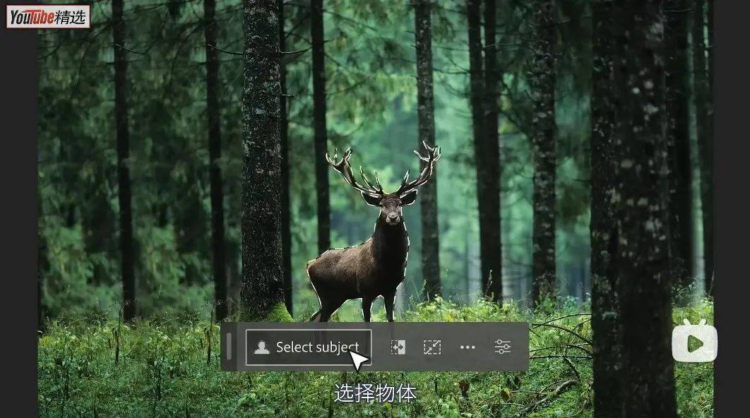 PS新增文本生成式AI功能！成为PS大神只需要这三步...