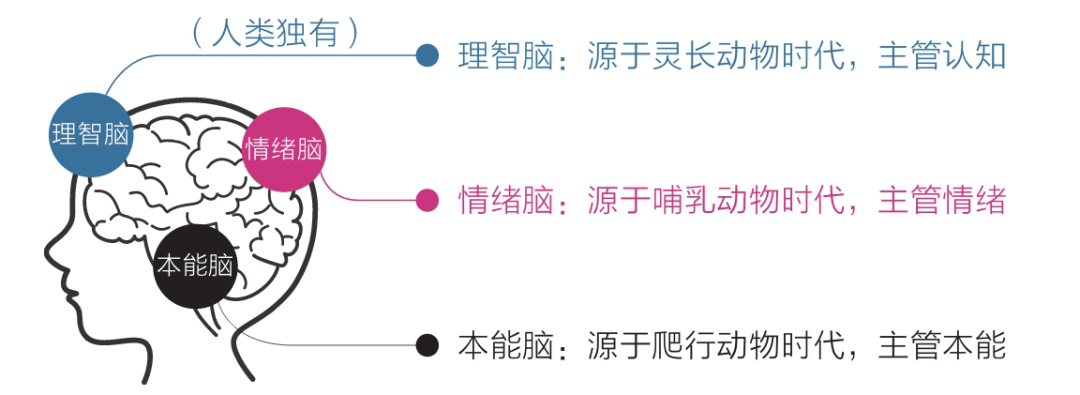 成長(zhǎng)，是克服天性和本能的過(guò)程。