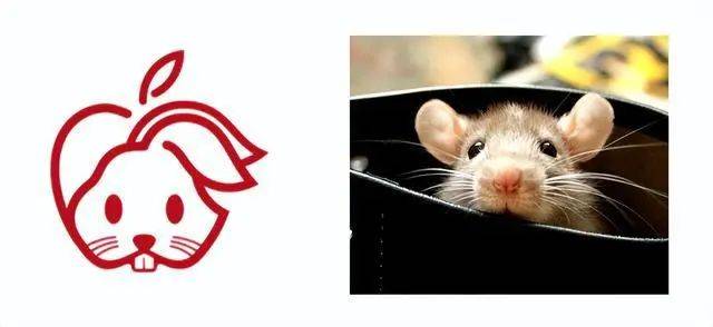 蘋果發布兔年logo，網友：鼠里鼠氣！