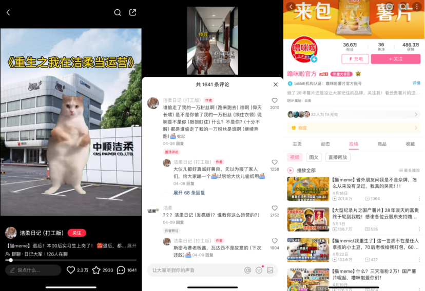 从“猫meme”到“绿色鸟子”，真正的“万物皆可IP”？ | 雷报