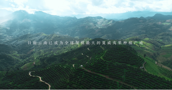一季度业绩回暖,三只松鼠做对了什么?学会了吗
