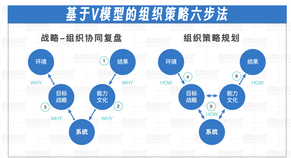 左谦：组织工作，弯路才是路