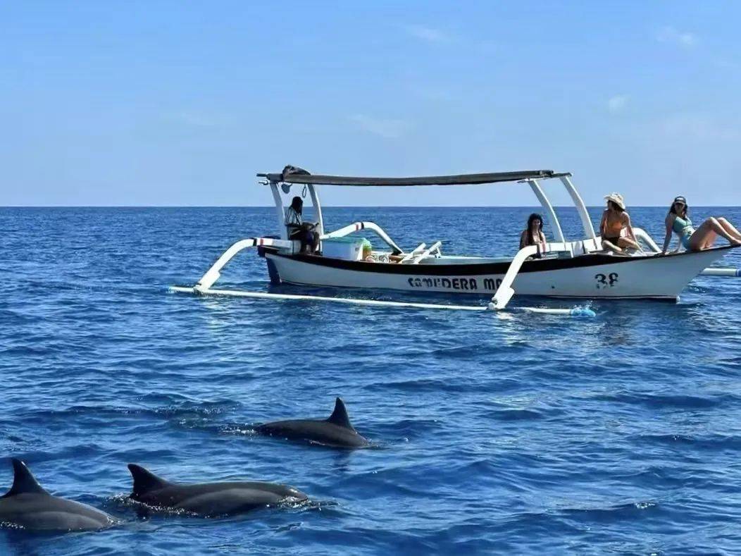 一线访谈丨搭子旅游，从嫌弃到放弃？