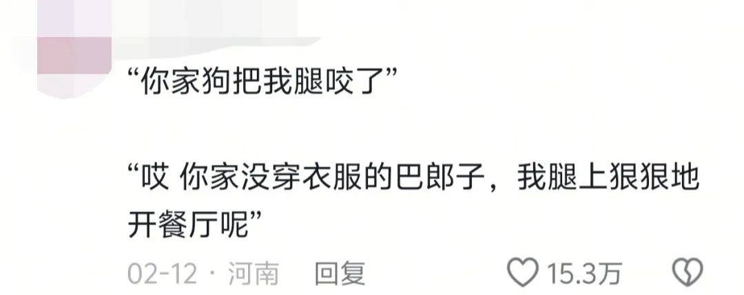 馕言文，成流量密碼！