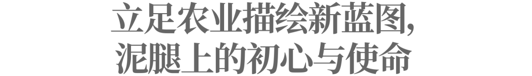 高质量发展注入基因,拼多多踏进“质变”进行时一看就会
