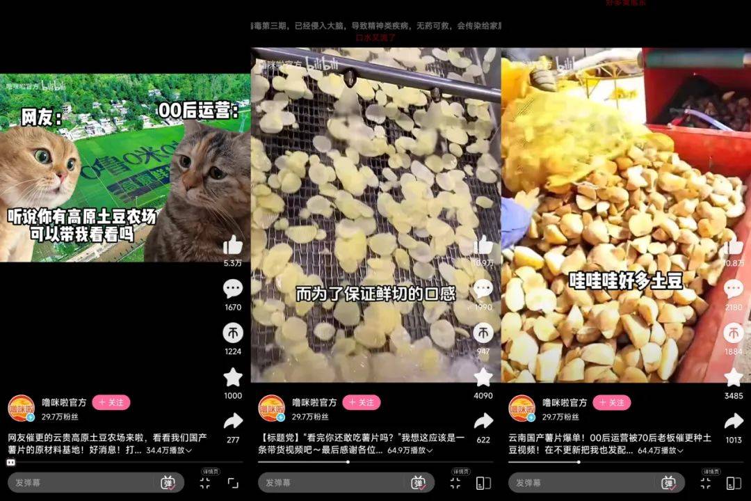 在小红书2天涨粉2万，“猫meme”成流量密码？