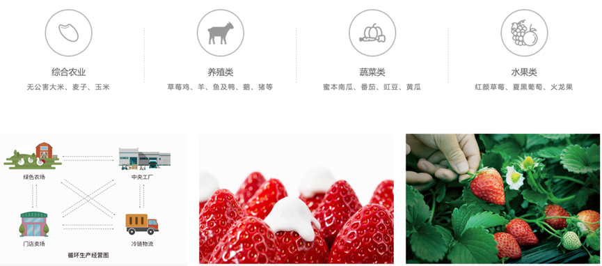 华中第一连锁烘焙品牌「仟吉」的忧与愁