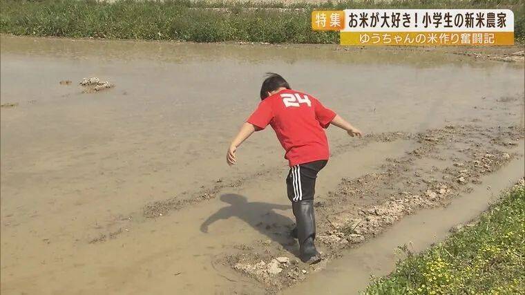 日本9岁小学生暑假租600㎡地，学会了种田，实现吃米饭自由！网友：动手能力比我强1000倍！