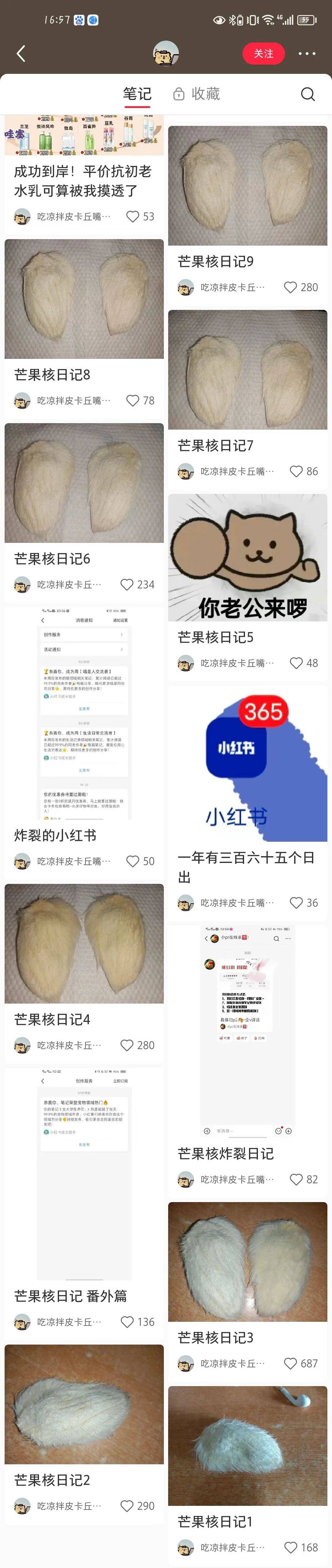 从“养芒狗”事件，看双11如何打造小红书低门槛营销爆款？