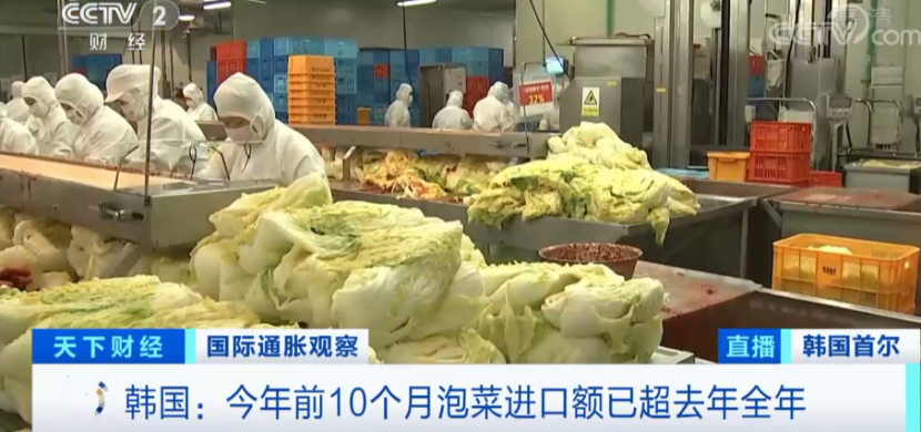 韩国泡菜99%都产自中国？你所知道的都是错的